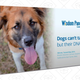 Wisdom Panel Breed Identification DNA Test Kit | $51 | Amazon